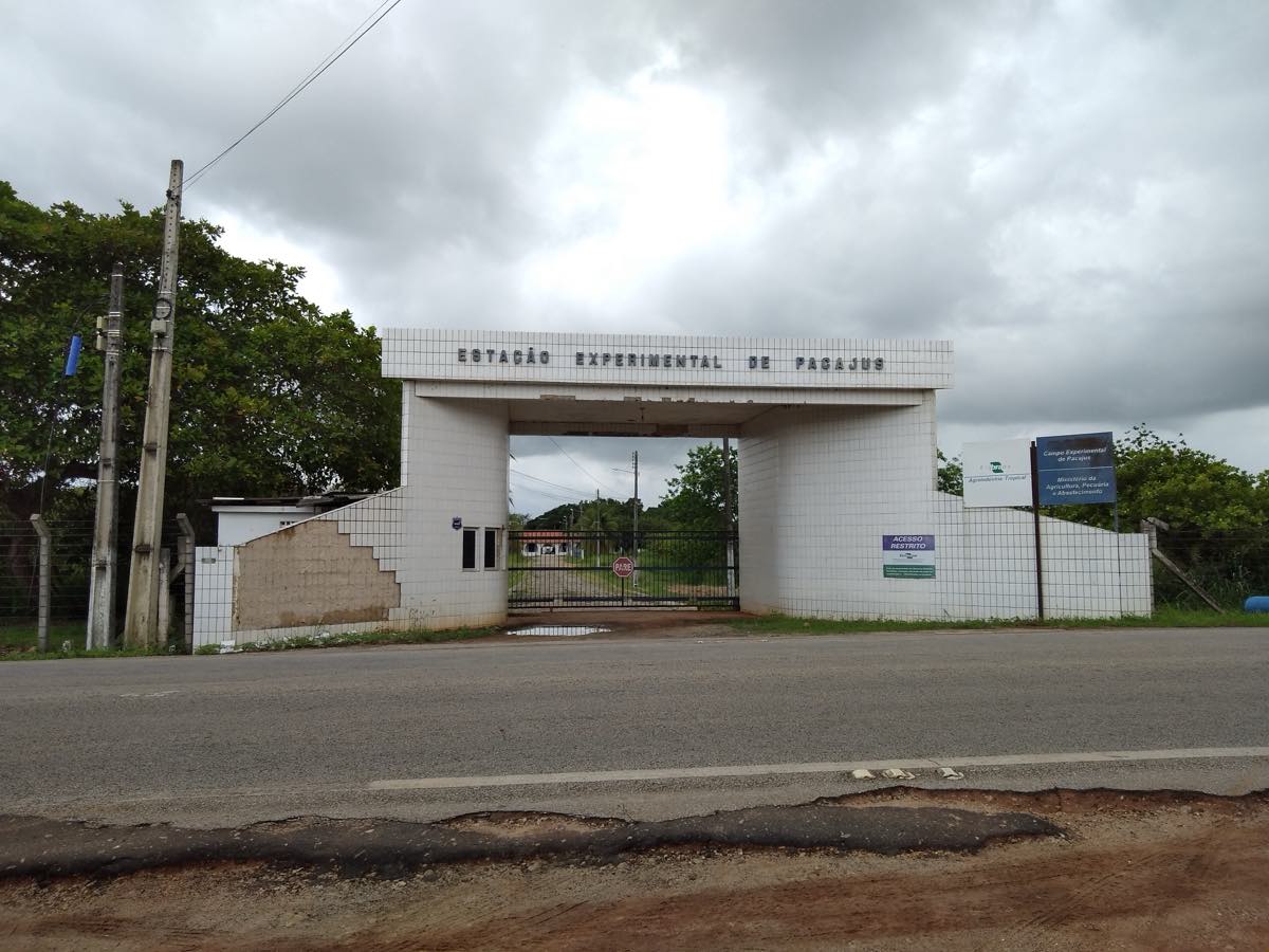 Portal de entrada da Estação Experimental de Pacajus, da Embrapa, no Ceará: um pórtico branco revestido de azulejos com o nome da estação no alto e um portão de grade, sob céu nublado