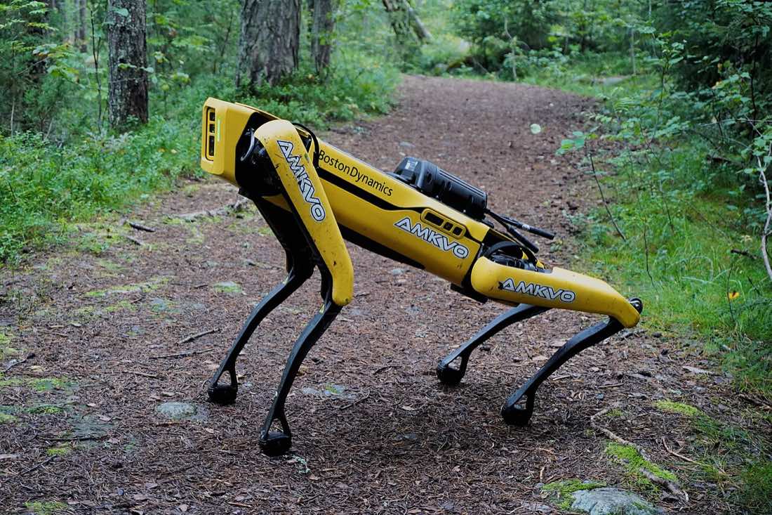 Robô quadrúpede Spot, da Boston Dynamics, em exposição
