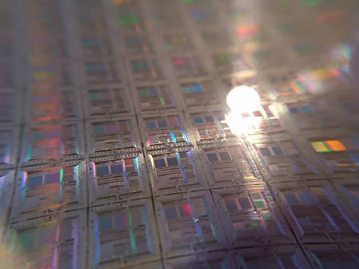 Close de um wafer de silício iridescente, com o padrão dos circuitos integrados gravados por fotolitografia refletindo a luz